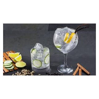 Gin-Tasting am 25. April 2026