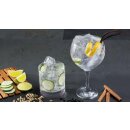 Gin-Tasting am 19. Oktober 2024