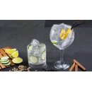 Gin-Tasting am 18. Oktober 2025