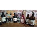 Gin-Tasting am 18. Oktober 2025